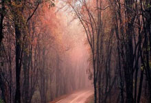 股票委托方式怎么选合适:配资买卖股票-六大黄金珠宝公司上半年总净利52亿元：老凤祥、中国黄金业绩齐跌 老铺黄金狂飙